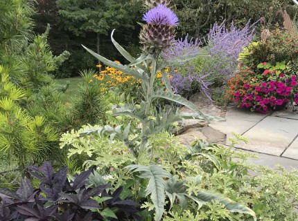 Ashwood Flower Planting Design