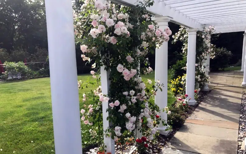 Planting Services