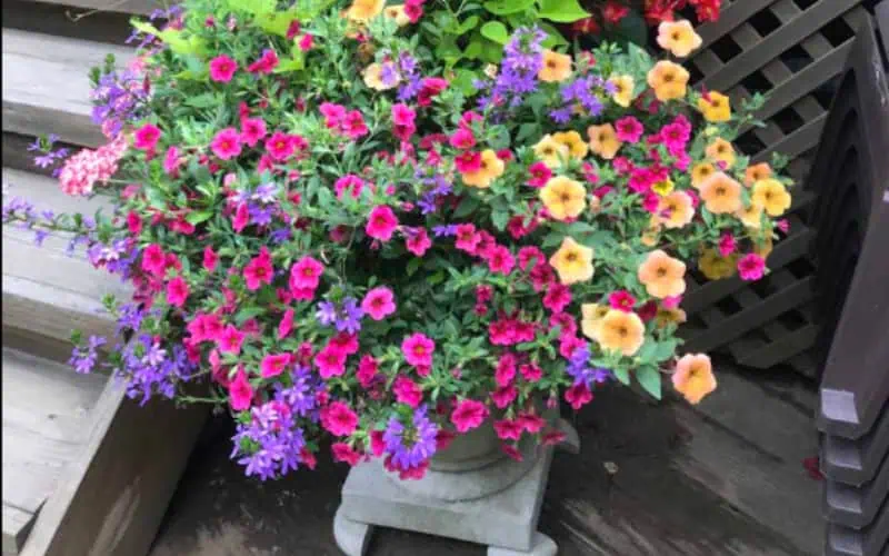 Planting Services